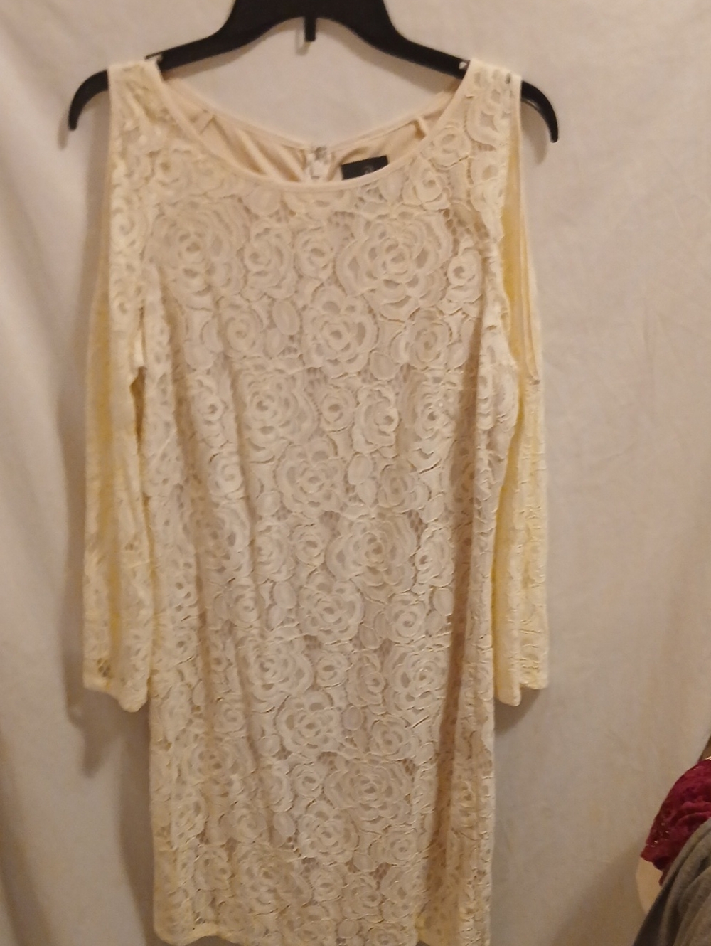 Adrianna Papell Cream Floral Lace Long Sleeve Dress